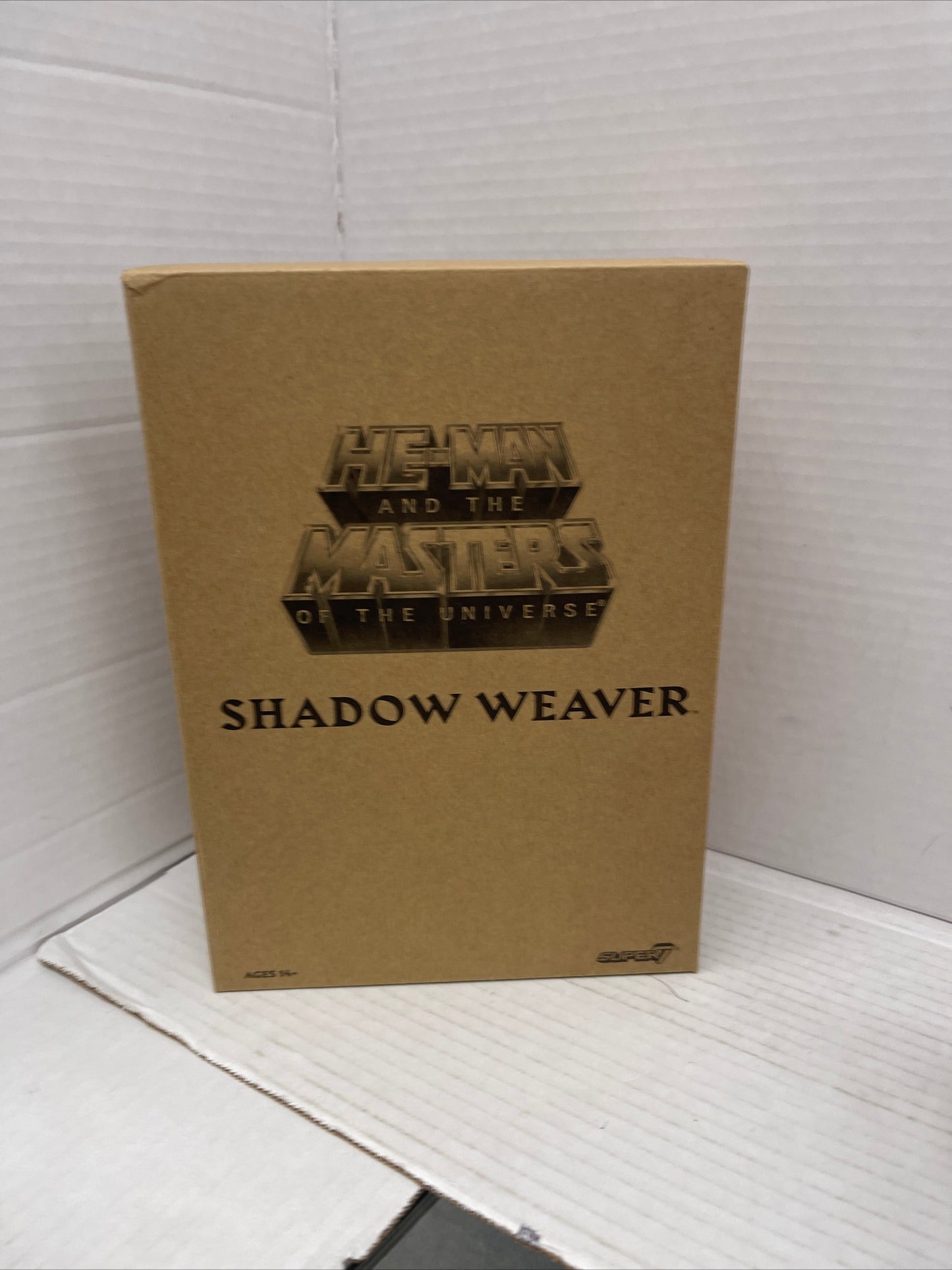 MOTU CLASSICS MASTERS OF THE UNIVERSE SUPER7 FILMATION SHADOW WEAVER FIGURE NEW