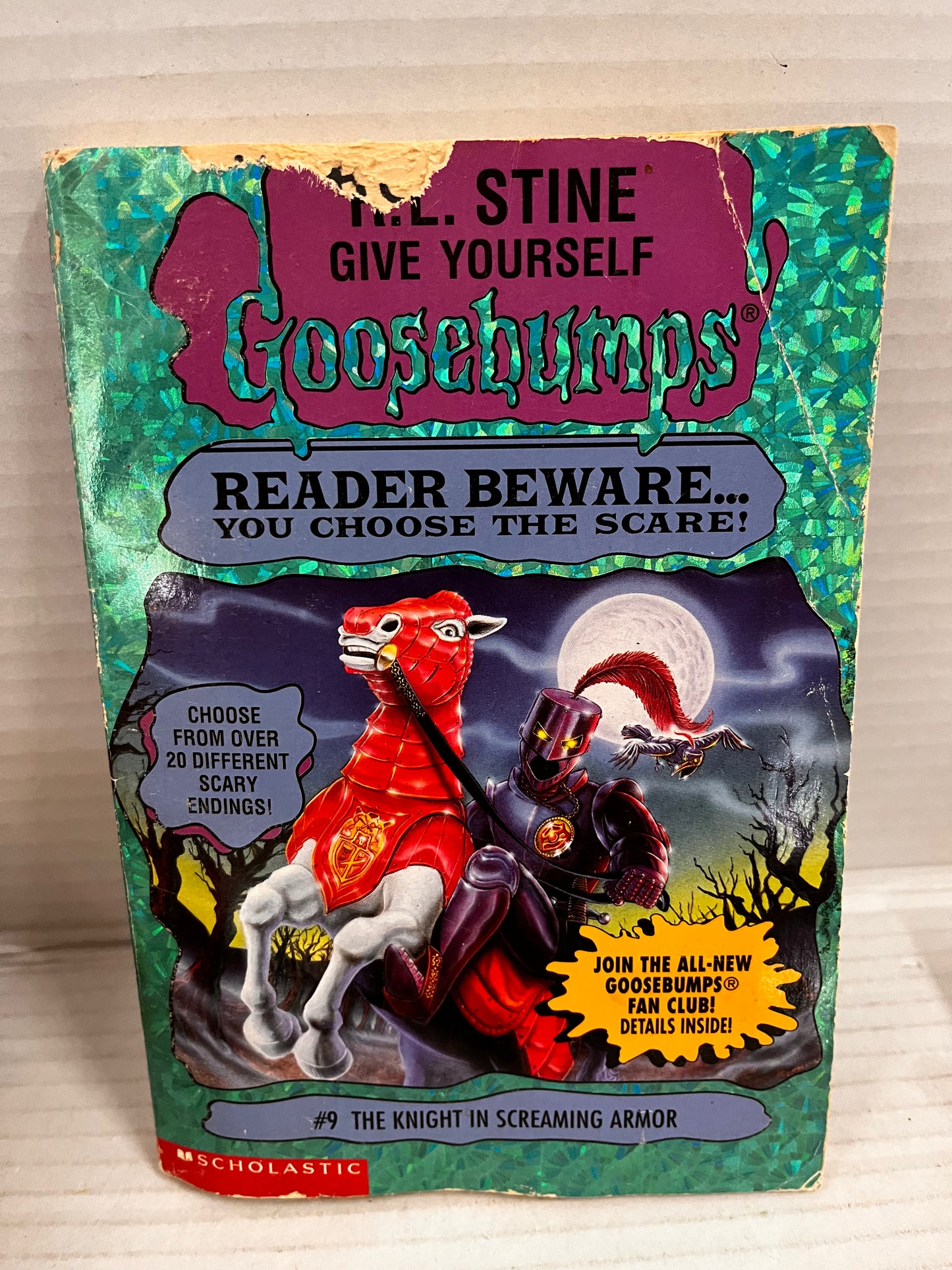 Give Yourself Goosebumps Lot of 13 Books – R.L. Stine