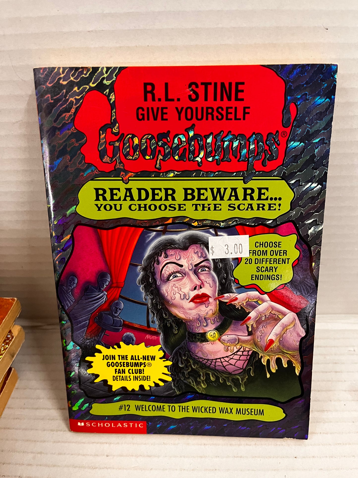Give Yourself Goosebumps Lot of 13 Books – R.L. Stine