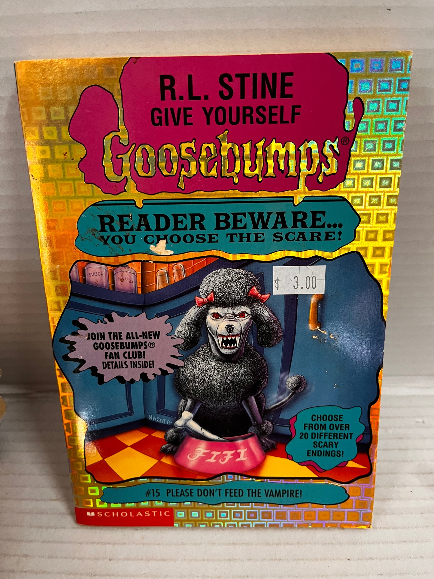 Give Yourself Goosebumps Lot of 13 Books – R.L. Stine