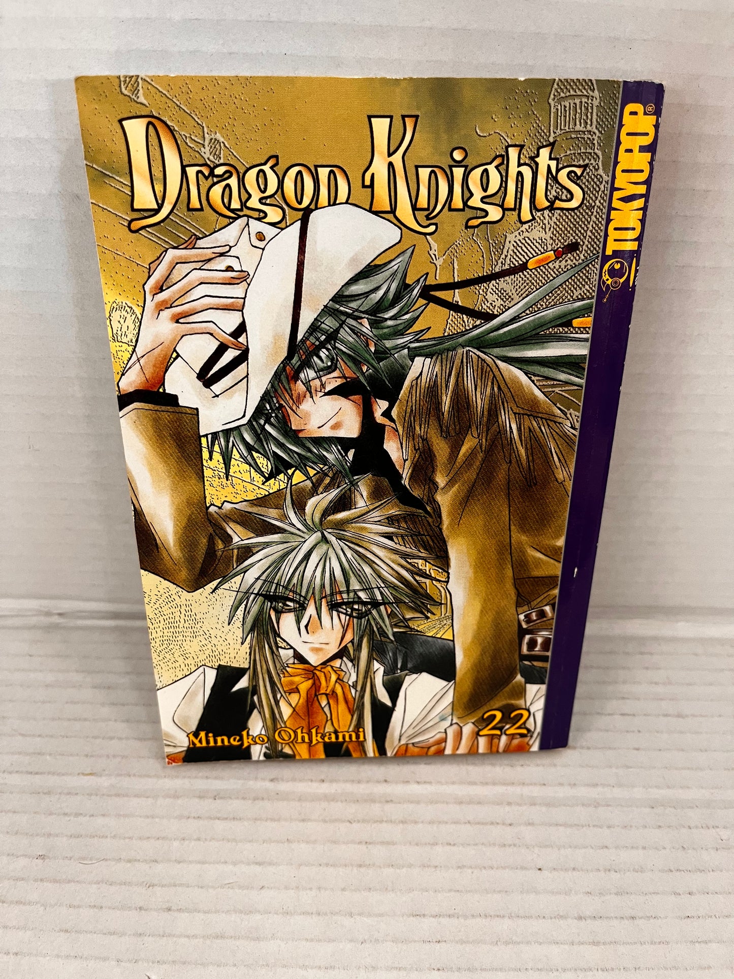 Dragon Knights - Volume 22 - Mineko Ohkami
