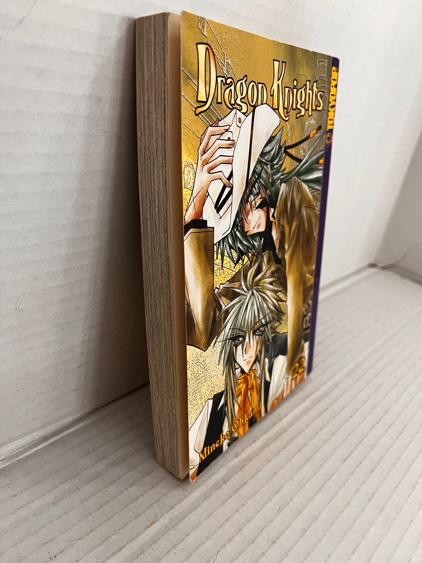 Dragon Knights - Volume 22 - Mineko Ohkami
