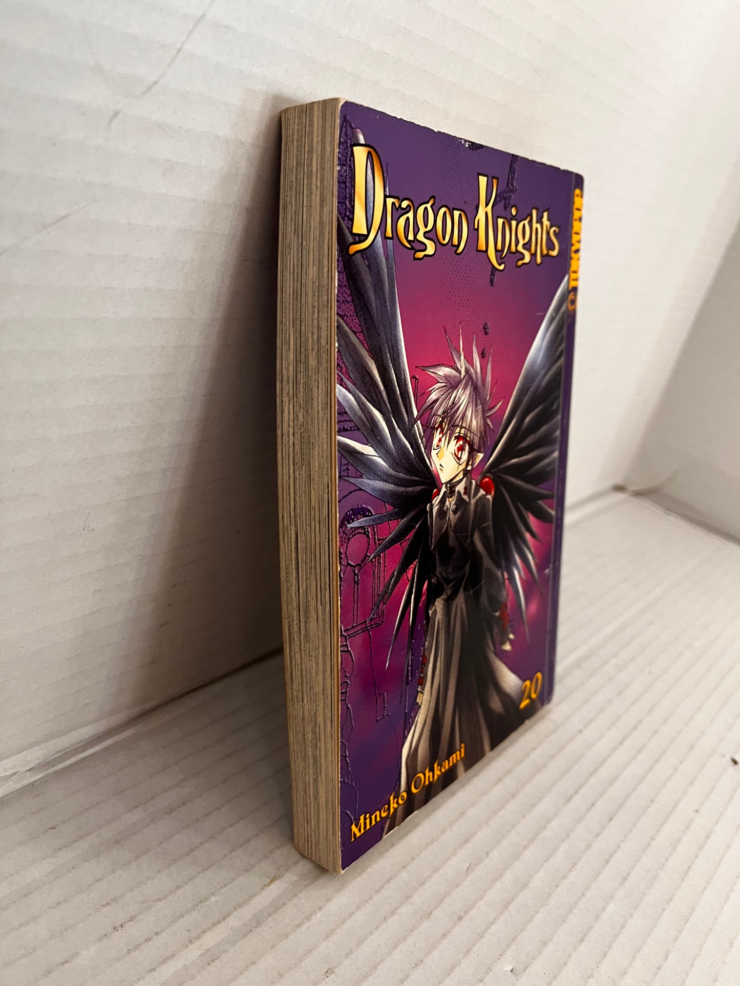 Mineko Ohkami- Dragon Knights Vol. 20 Manga Graphic Novel