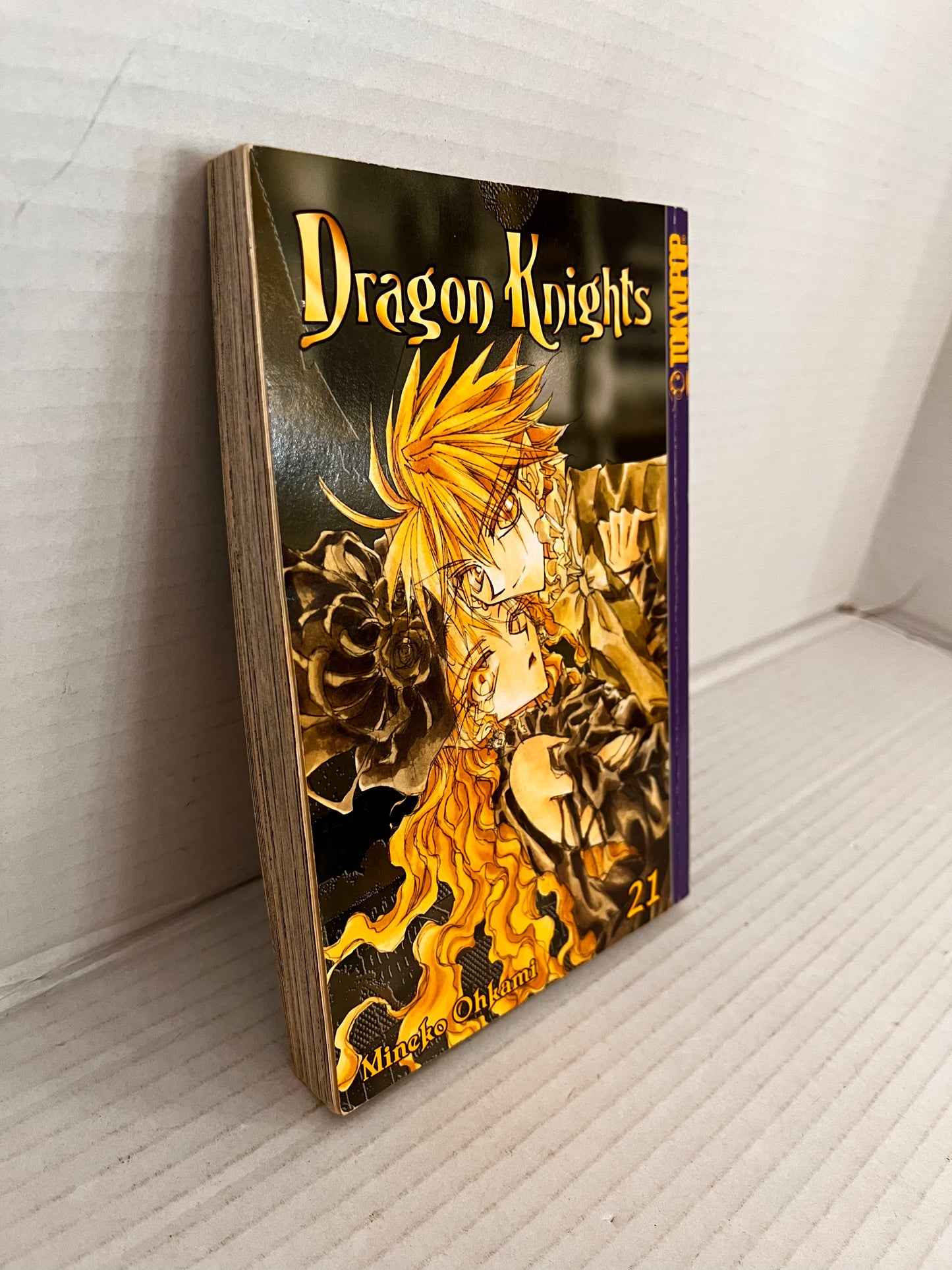 Dragon Knights 21 - English Manga Volume 21 - TOKYOPOP OOP - Mineko Ohkami
