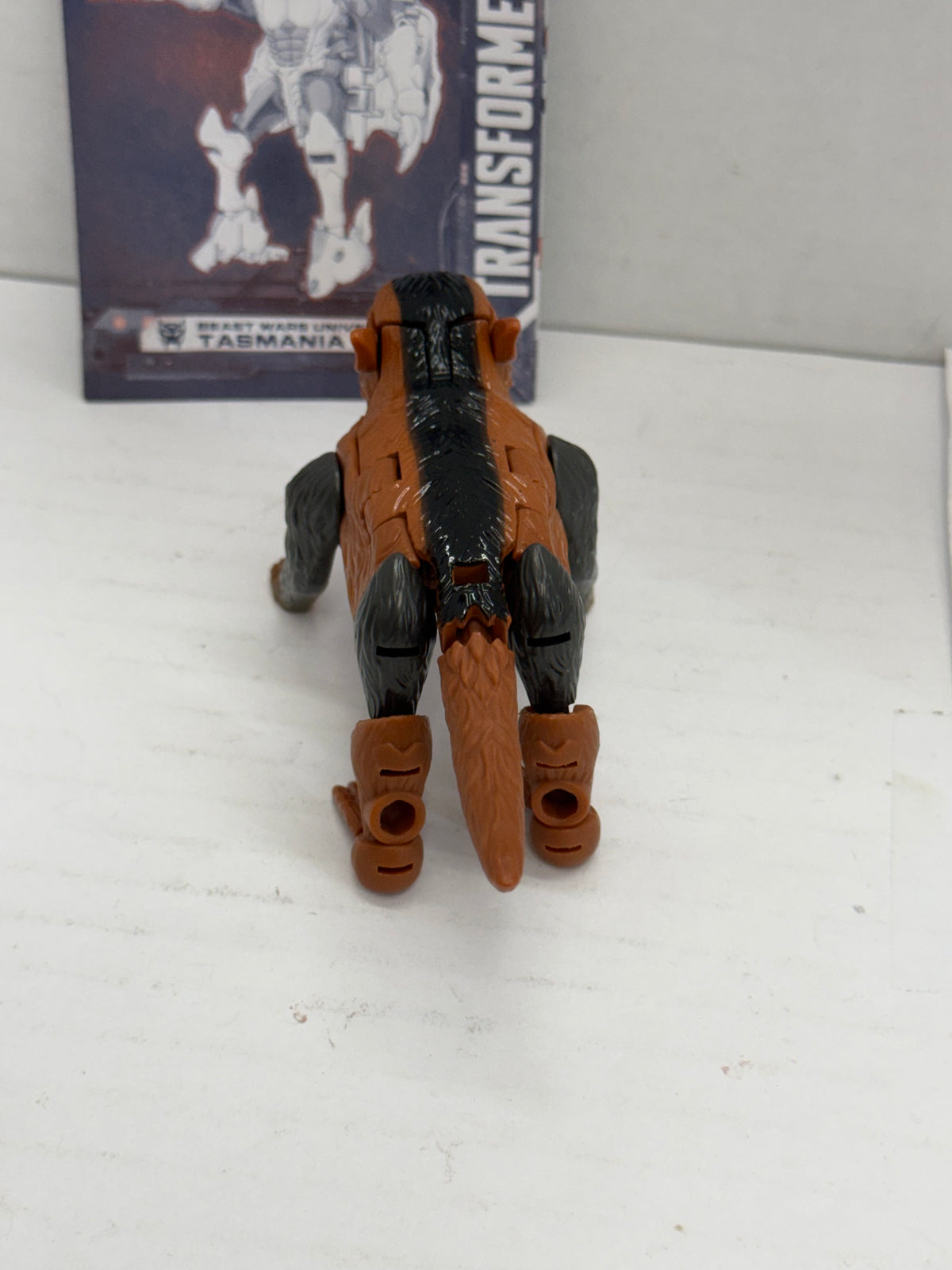 Transformers Beast Wars II Tasmania Kid Complete Legacy United Core Class
