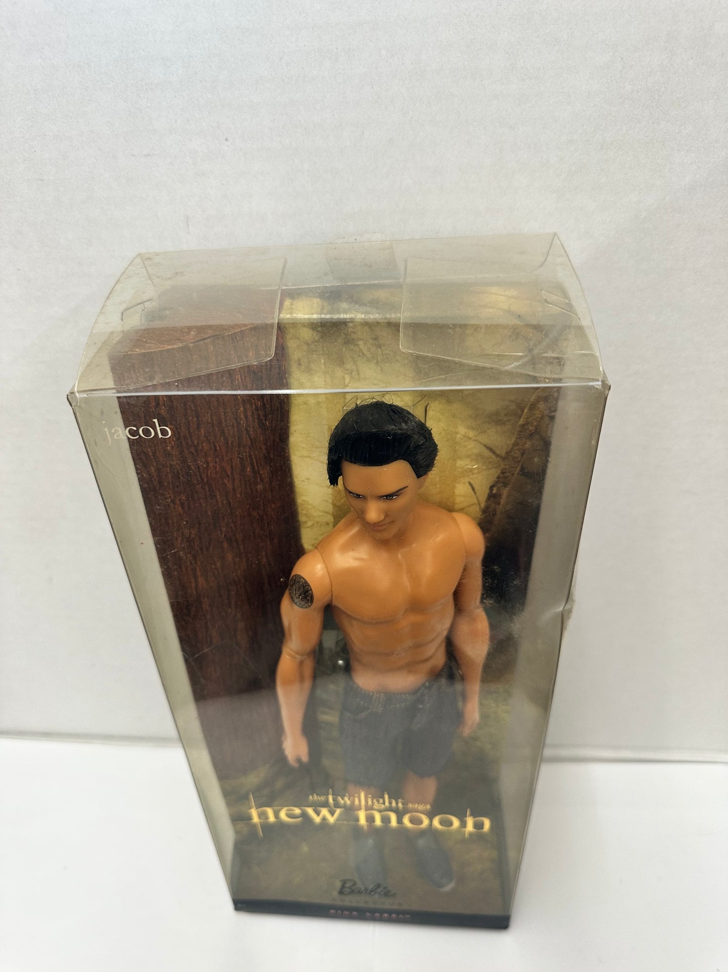 2009 Mattel Twilight Saga New Moon Jacob Barbie Pink Label