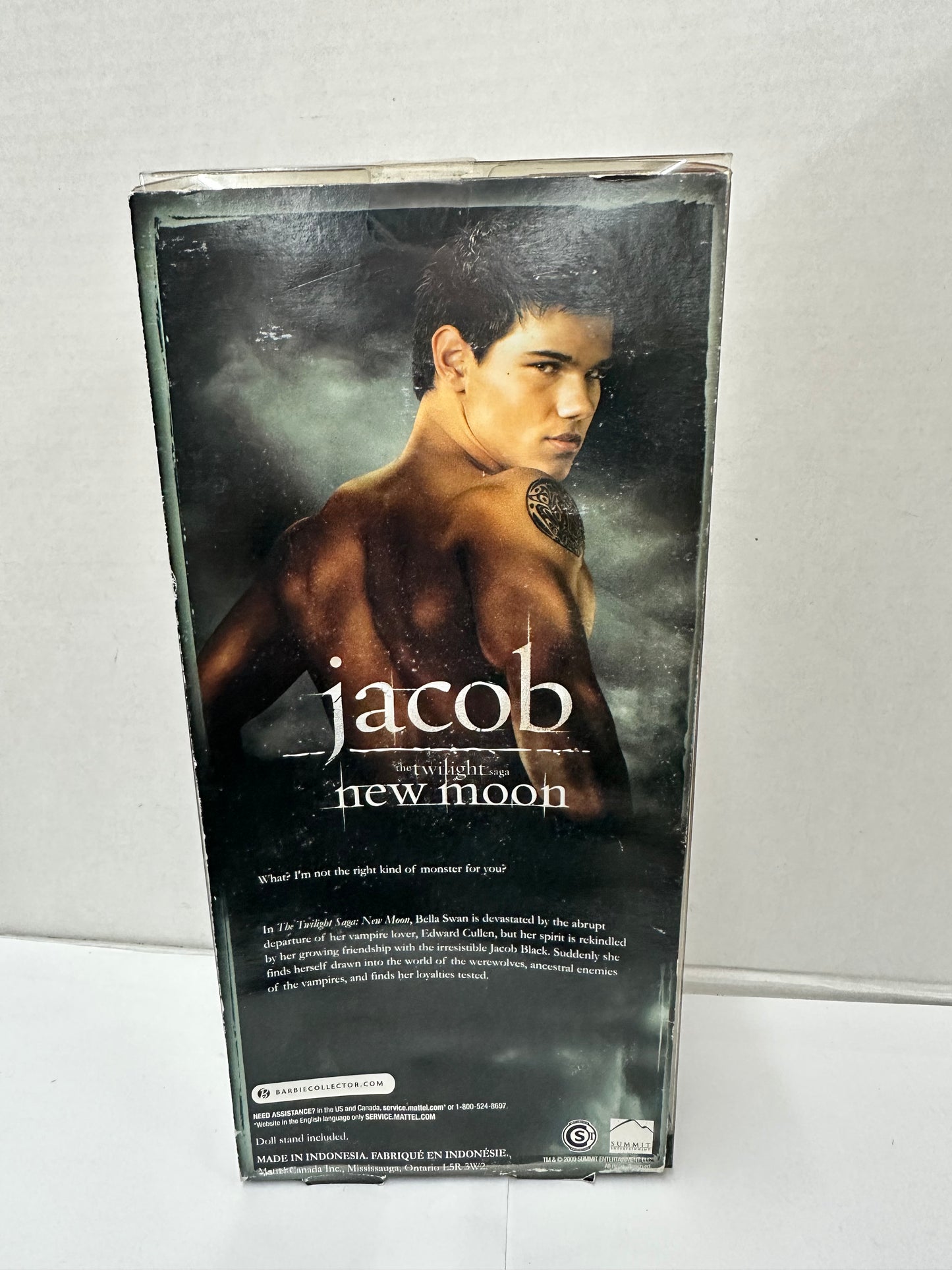 2009 Mattel Twilight Saga New Moon Jacob Barbie Pink Label