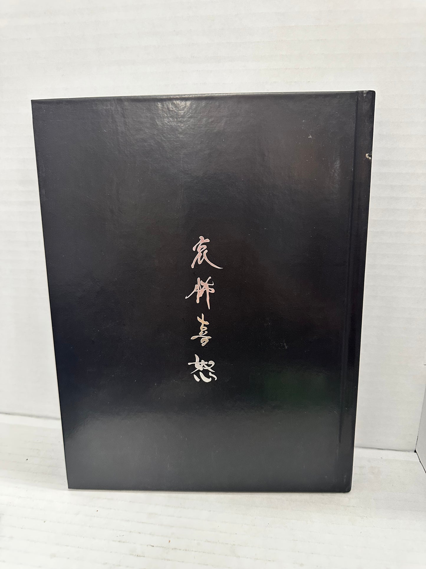 Metal Gear Solid Guns Of The Patriot 4 Collector's Strategy Guide W/Lithograph