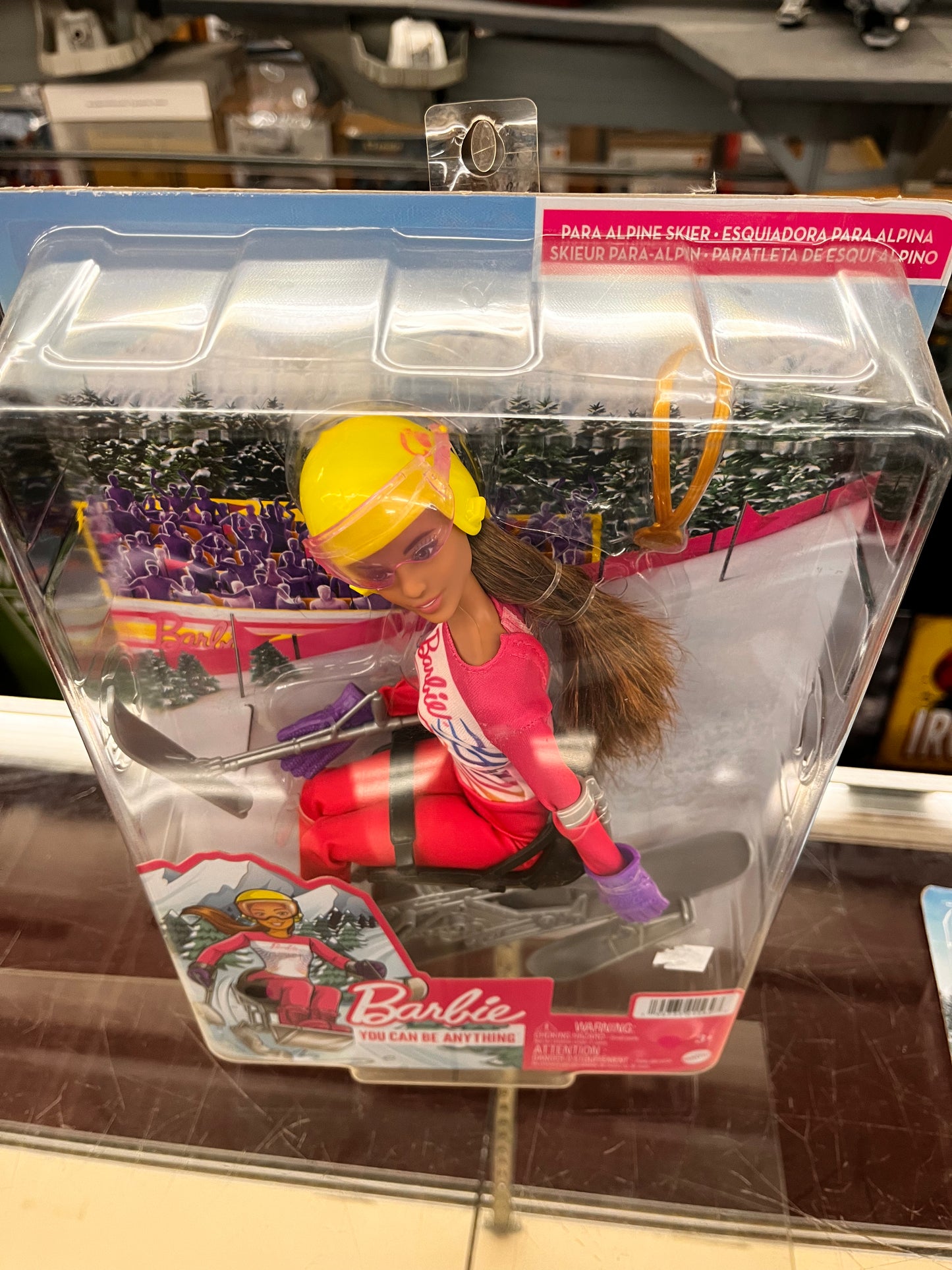 Barbie You Can Be Anything: PARA ALPINE SKIER 11" Doll (2021,Mattel)