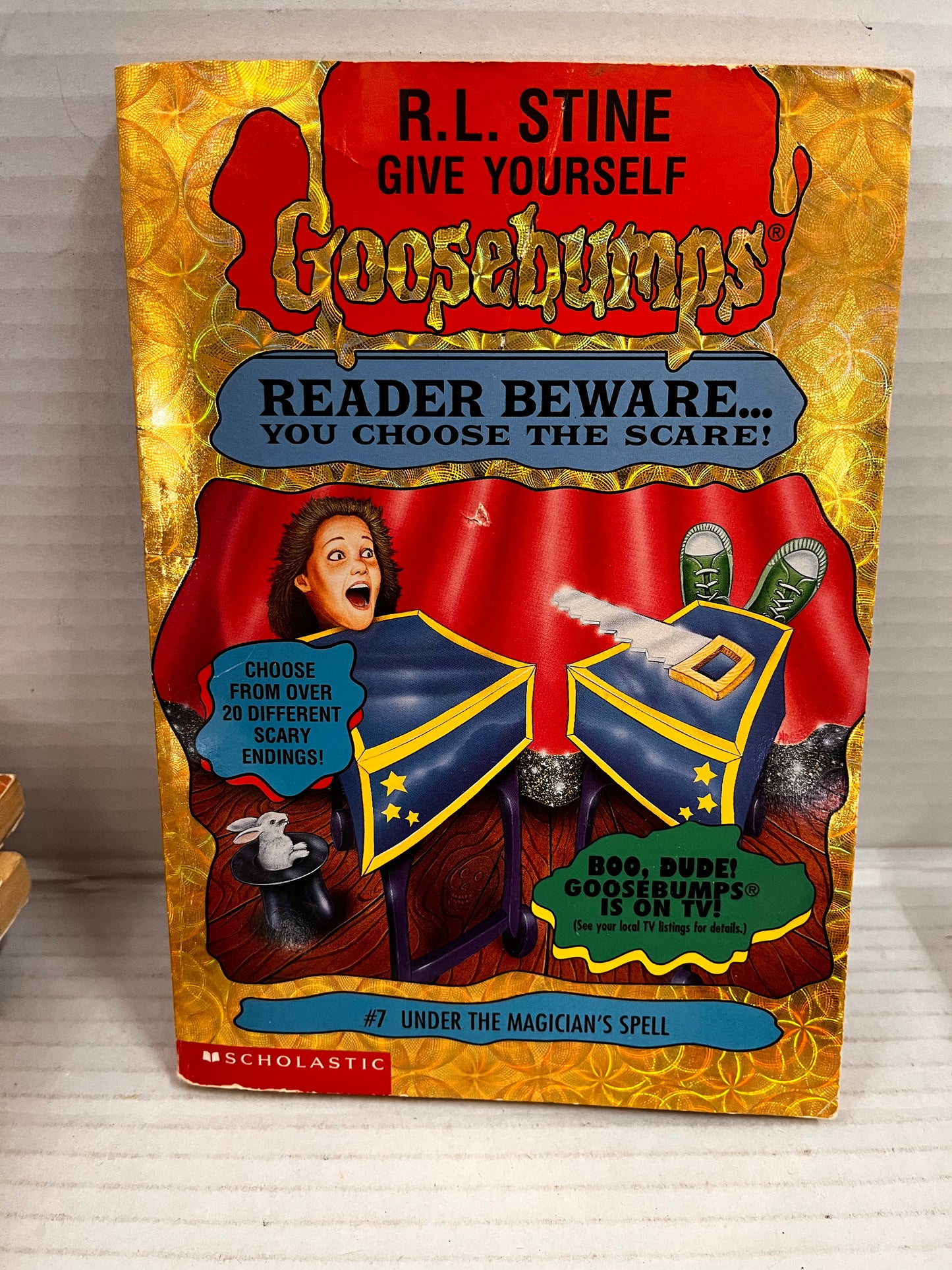 Give Yourself Goosebumps Lot of 13 Books – R.L. Stine