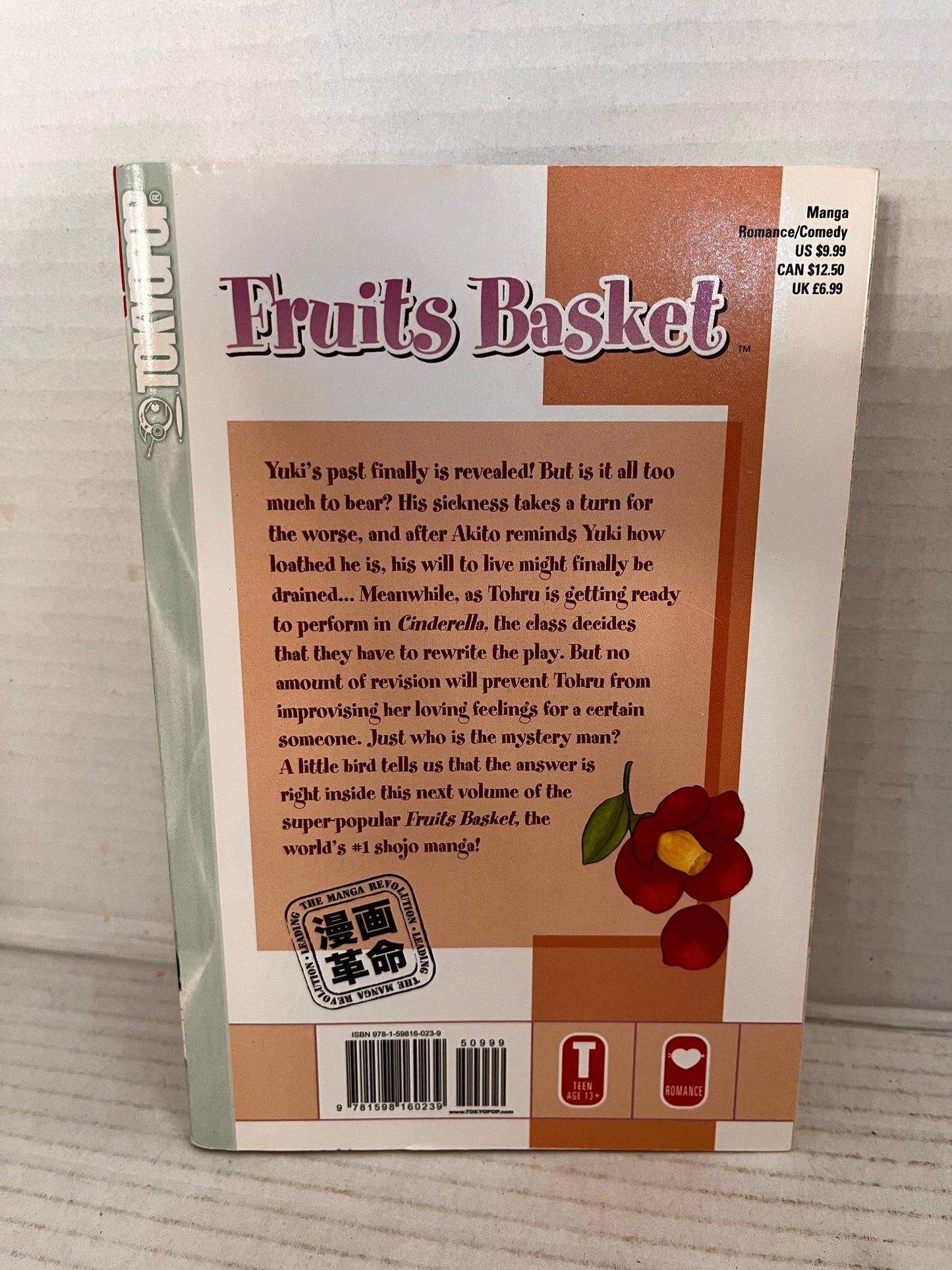 Fruits Basket Volume 15 English Manga Natsuki Takaya Tokyopop 2006