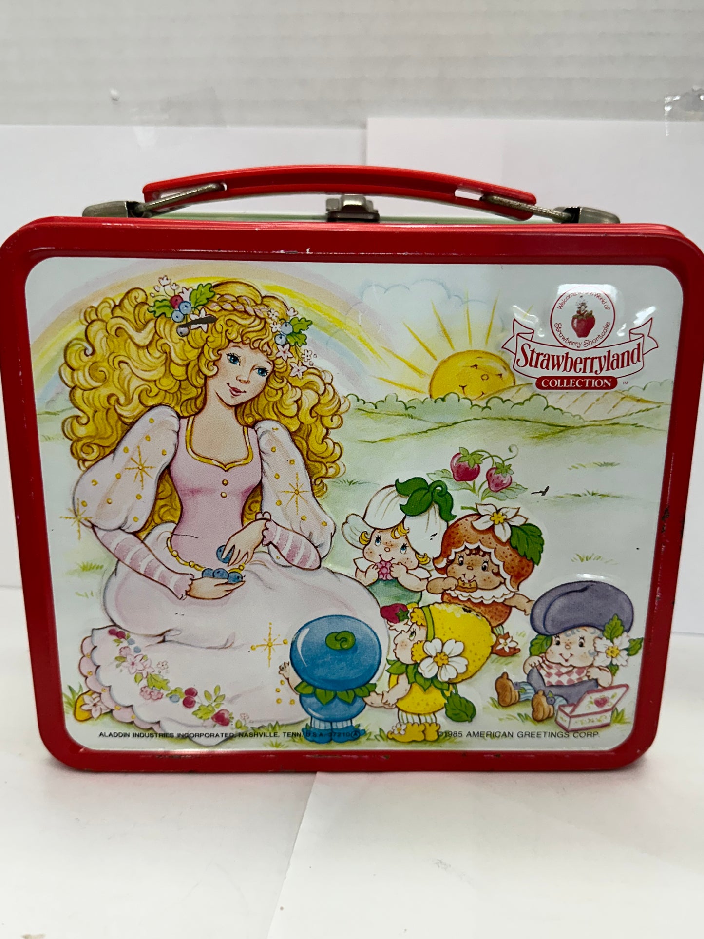 Vintage 1985 Strawberry Shortcake Strawberryland Lunchbox and Thermos